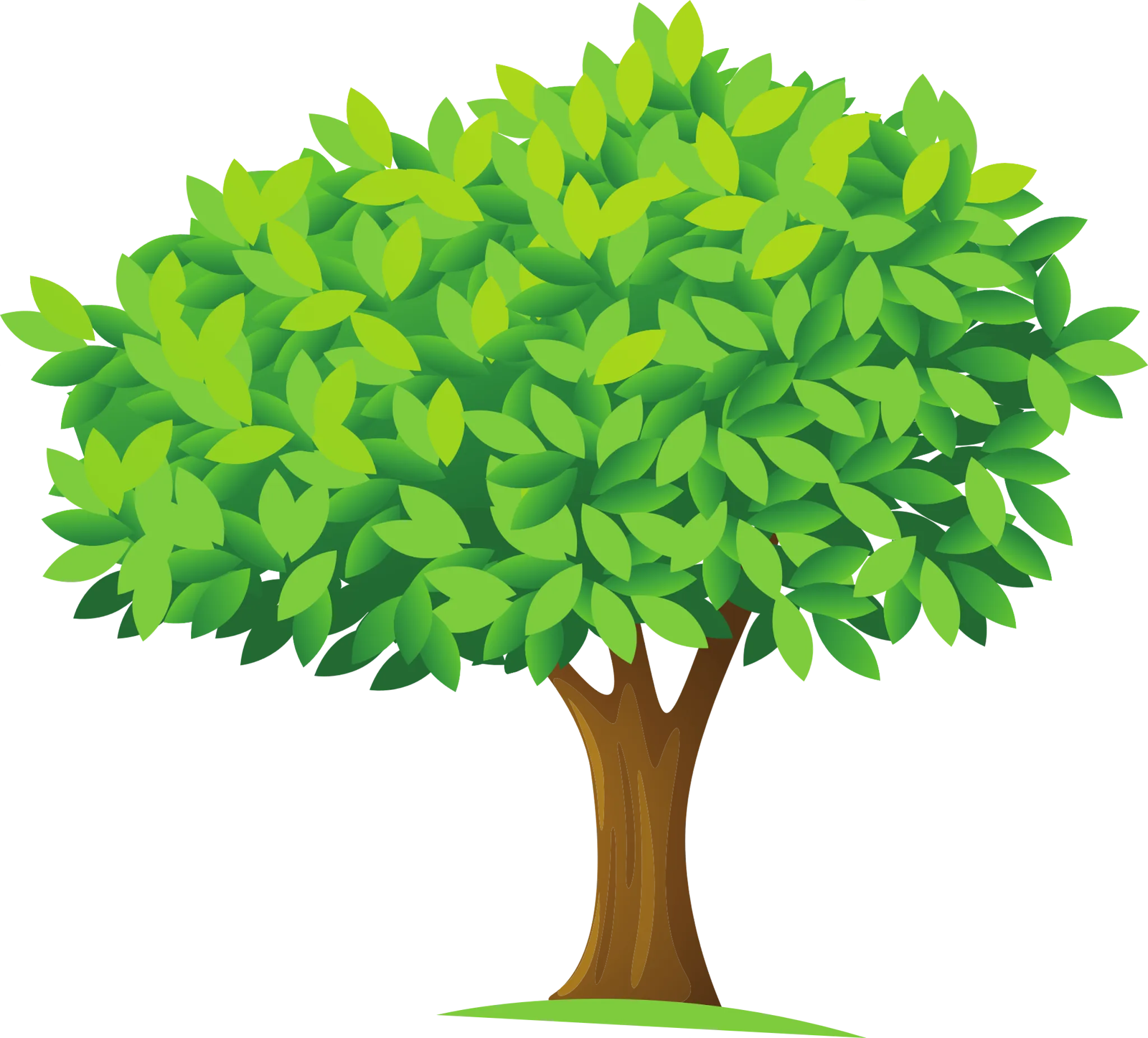 Árbol