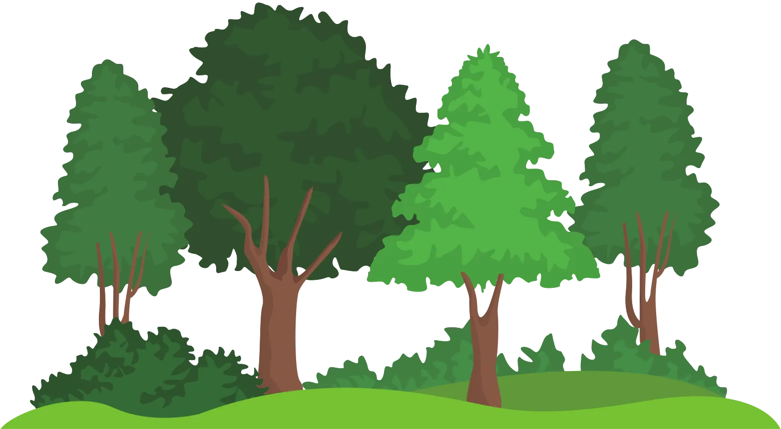 Bosque
