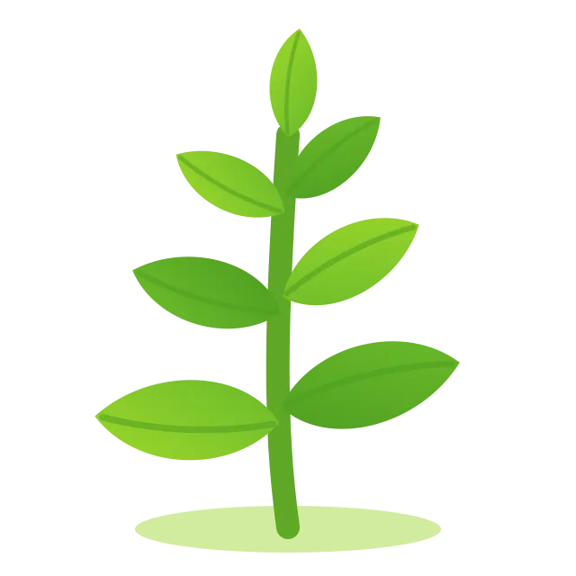 Planta